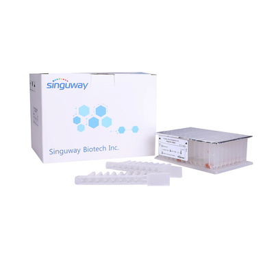 کیت خالص سازی DNA ویروسی اسید نوکلئیک کیت خالص سازی RNA مهره های مغناطیسی Singuway