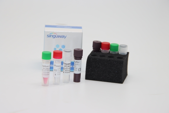 کیت تست سواب PCR ویروس بوکا HBoV RT کیت تست فلورسنت کمی PCR ISO9001