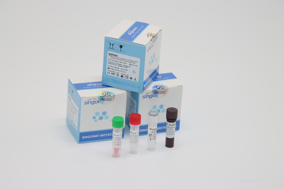 آزمایشگاه با استفاده از کیت‌های تست کووید RT PCR کیت نمونه سواب دوگانه PCR بالینی ویروس LP
