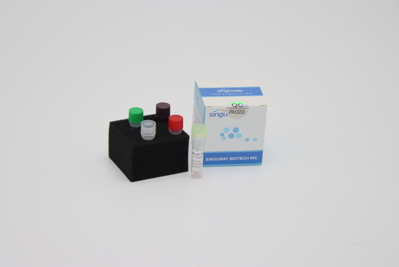 HBV HCV به موقع PCR Detection Kit PCR Amplification Kit 20uL Reaction Volume