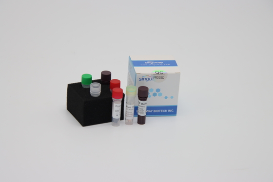 کیت تشخیص سریع RT PCR آزمایشگاهی Multiplex برای تشخیص ویروس سارس