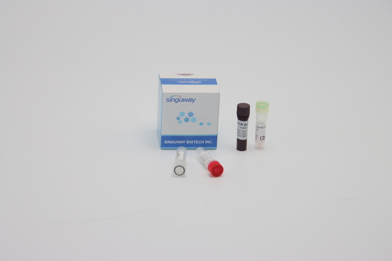 نمونه سواب خوراکی واکنش مولتی پلکس کمی واکنش PCR ISO13485