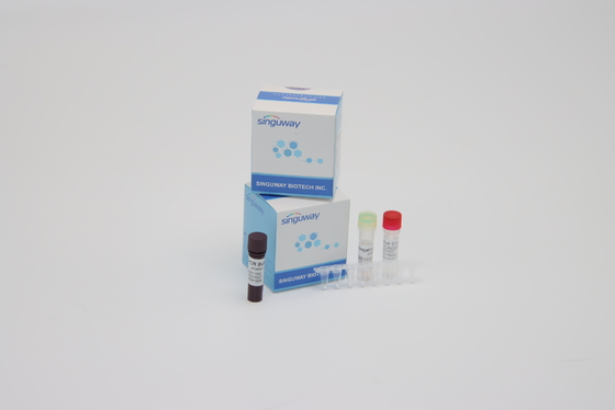 واکنشگرهای تشخیص نوکلئیک اسید نوکلئیک ویروس کرونا کیت به موقع PCR Multiplex Super Sensitive