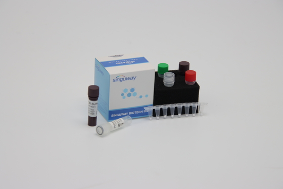 کیت تشخیص کمی PCR معرف ISO13485 در عرض 30 دقیقه تشخیص مولکولی