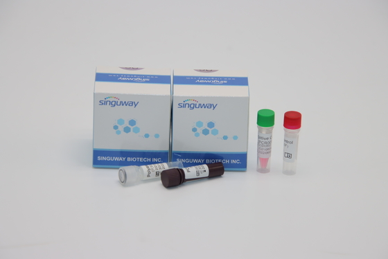 کیت تشخیص فلورسانس PCR نمونه سواب بینی برای آزمایش آدنوویروس ADV