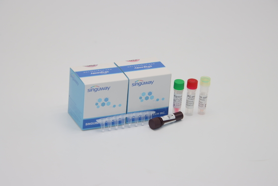 کیت تشخیصی RT PCR ویروسی تنفسی سنسیتیال کیت تشخیص RSV PCR سواب بینی