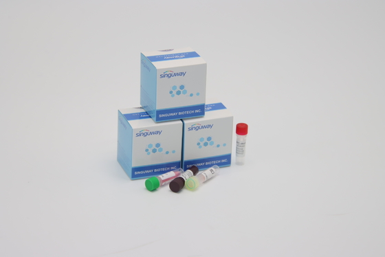 کیت های تشخیصی PCR در زمان واقعی تست CE ویروس کرونا به صورت فوق سریع در عرض 30 دقیقه