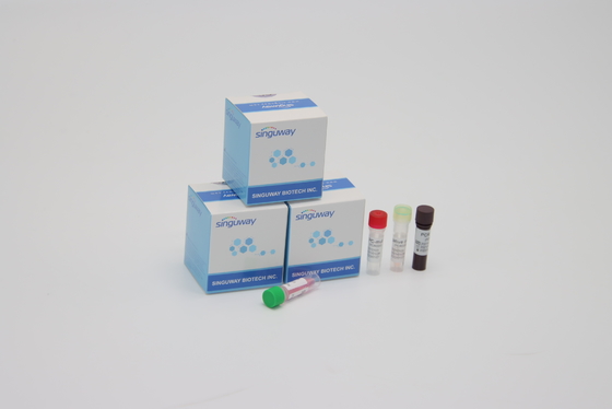 کیت تشخیص PCR با حساسیت بالا جهش های آلفا بتا دلتا گاما برای آزمایشگاه با استفاده از
