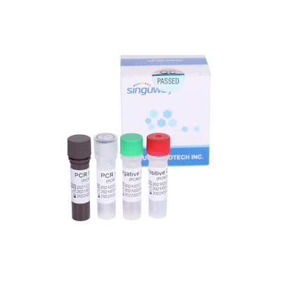 هپاتیت B ویروس DNA HBV کیت Real Time PCR تشخیصی کمی حساسیت IU/ML 30