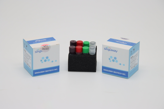 مجموعه کیت تست RT PCR ویروس هاری H1N1 IVD فوق حساس برای بیمارستان