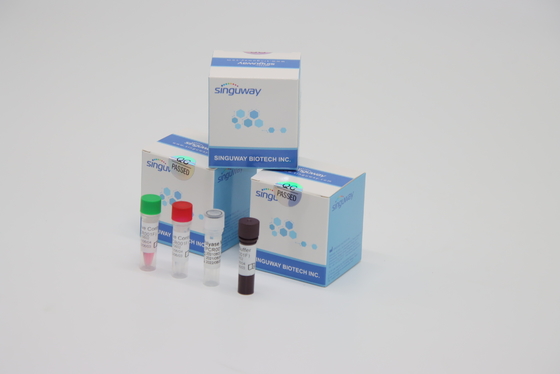 کیت تست واکنشگر RT PCR آزمایشگاهی پایداری بالا برای تشخیص ویروس واریسلا زوستر VZV