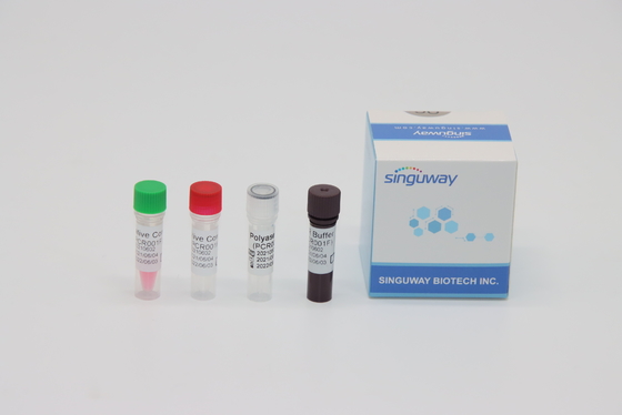 کیت تست CMV Virus RT PCR Testing به موقع Acid Nucleic Acid ISO13485