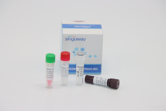 کیت تست تشخیص مولکولی کمی RT PCR در زمان واقعی برای ویروس HPV Tox