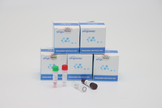 آزمایشگاه کیت تست RT PCR ویروس تالاسمی فوق سریع با استفاده از کیت TB PCR
