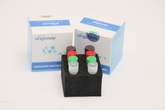 کیت فلورسنت به موقع HCV RT PCR کیت تست HSV2 استفاده از آزمایشگاه CE