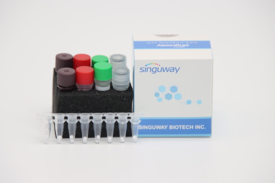کیت IVD کمی و سریع RT PCR برای ویروس آنفلوانزای مرغی A ویروس H7N9
