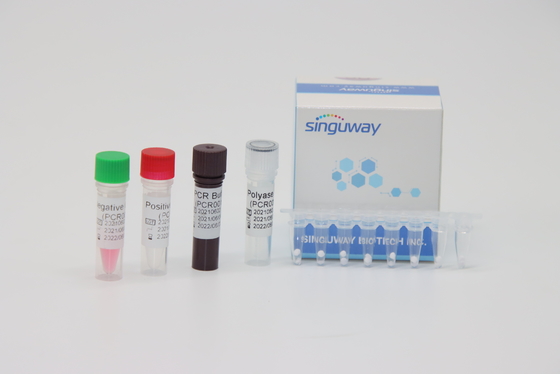 50 کپی/میلی لیتر کیت های تشخیصی واقعی PCR برای لوسمی BCR-ABL Fusion Gene Typing