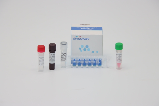 HPV 16 18 ویروس تست اسید نوکلئیک کیت تست RT PCR ISO13485