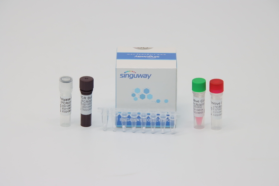 کیت تست دقیق ویروس دنگی RT PCR 48 96 تست در هر کیت حجم واکنش 20uL