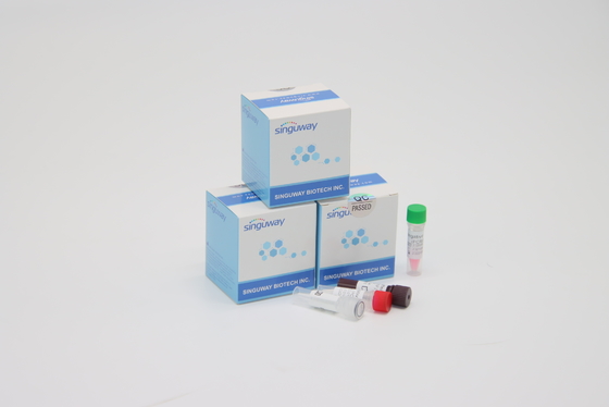 کیت تست فوری RT PCR ویروس RSV سریع POCT IVD تشخیص بالینی با دقت بالا