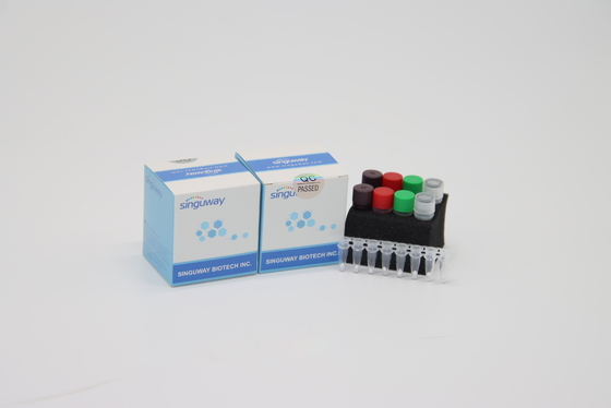 کیت با دقت بالا HIV به موقع PCR کیت های تشخیصی به موقع PCR بالینی POCT IVD