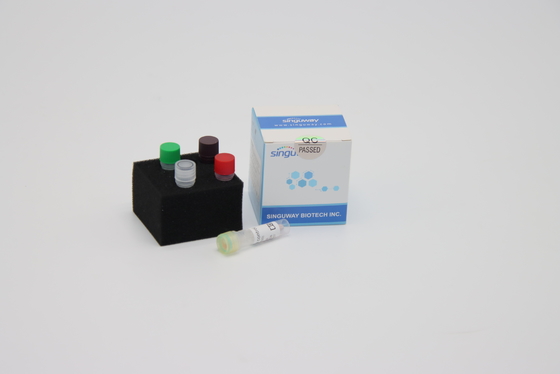 کیت PCR رونویسی معکوس DNA پلیمراز HIFi RT PCR Reagents Singuway