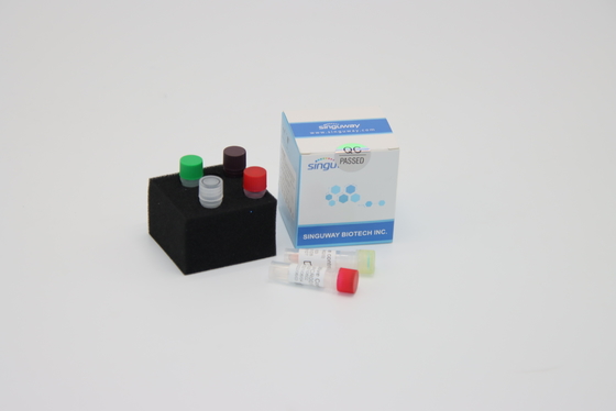 واکنشگرهای کیت تشخیص DNA ویروس هاری فوق سریع برای PCR مورد نیاز است