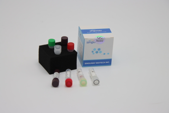 کیت تست RT PCR ویروس آنفولانزای پرندگان 48 96 تست کیت تست سواب بینی