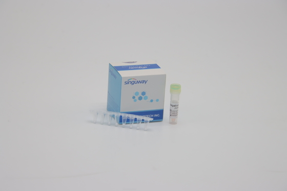 تست DNA کیت تشخیص آنفولانزا FluB PCR 1 مرحله کیت RT PCR برای آزمایشگاه با استفاده از