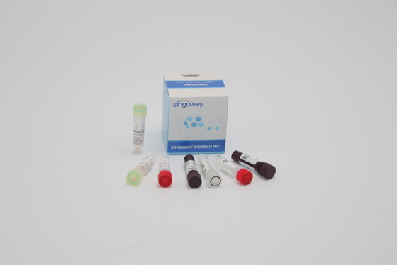 کیت تشخیص ORF1ab HPV PCR آزمایش ژنتیک اسید نوکلئیک برای تشخیص بالینی