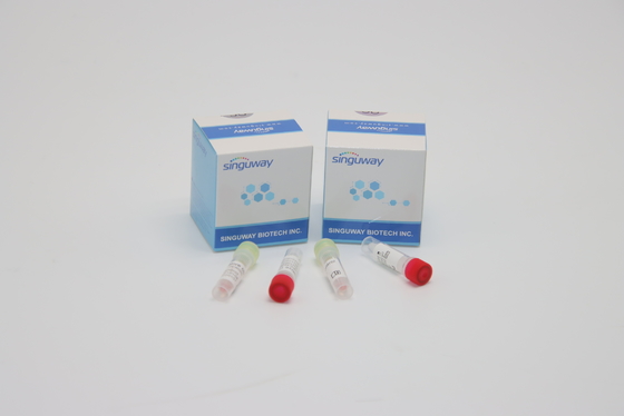 کیت تست سواب CE PCR کیت تست هپاتیت B و C تشخیص بالینی