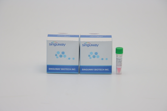 واکنشگر آزمایشگاهی کیت PCR با دقت بالا برای هلیکوباکتر پیلوری HP