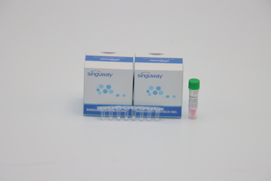 آزمایشگاه POCT IVD Mycobacterium Tuberculosis TB TB PCR Detection Test DNA ISO9001
