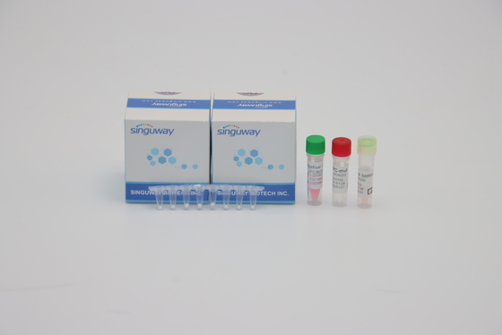 آنفولانزا A آنفولانزای B کیت یک مرحله ای زمان واقعی PCR کیت تست HIV PCR بسیار حساس 96 تست