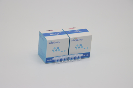 کیت HCV به موقع PCR با پایداری بالا کیت تست سریع HBV هپاتیت B معرف آزمایشگاهی ISO13485