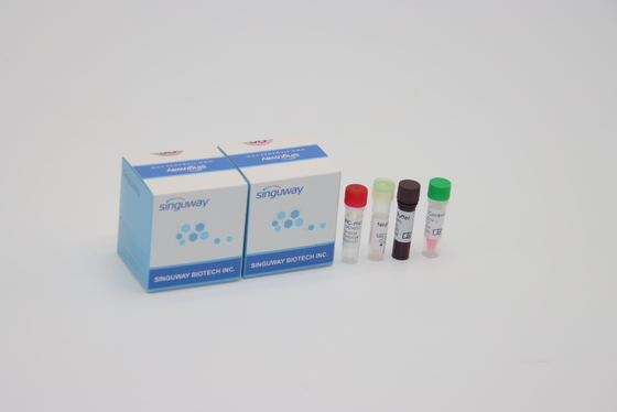 آلفا بتا دلتا گاما جهش یک مرحله ای کیت QPCR سواب دهانی برای آزمایشگاه با استفاده از