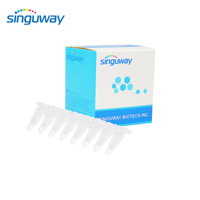 کیت 15 نوع HPV Real Time PCR 40uL کیت HPV PCR کیفی برای انسان
